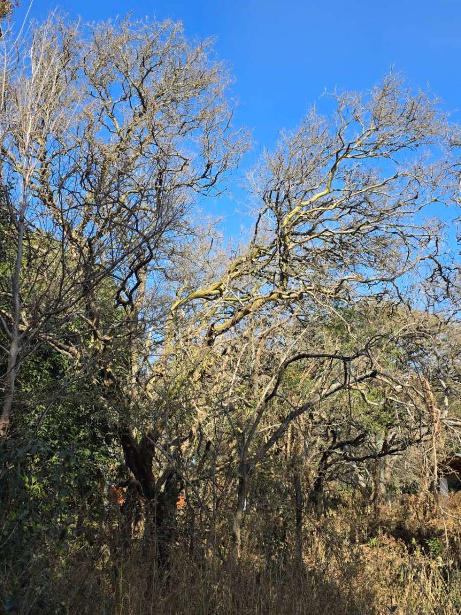 Lote en Venta Calle Pública S/n, Villa Ciudad del Parque - Imagen 6