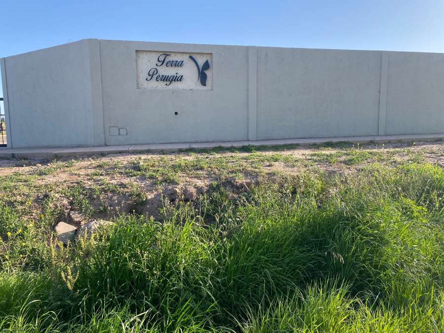 Terreno en Venta en Lujan de Cuyo · 1.000 m² de lote · barrio privado - Imagen 1