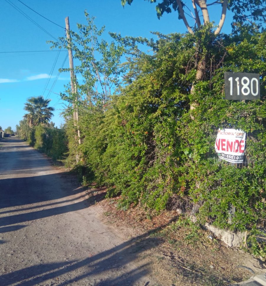 Excelente Terreno en Mendoza en Venta · frente 25 m · 1.810 m² de lote - Imagen 1