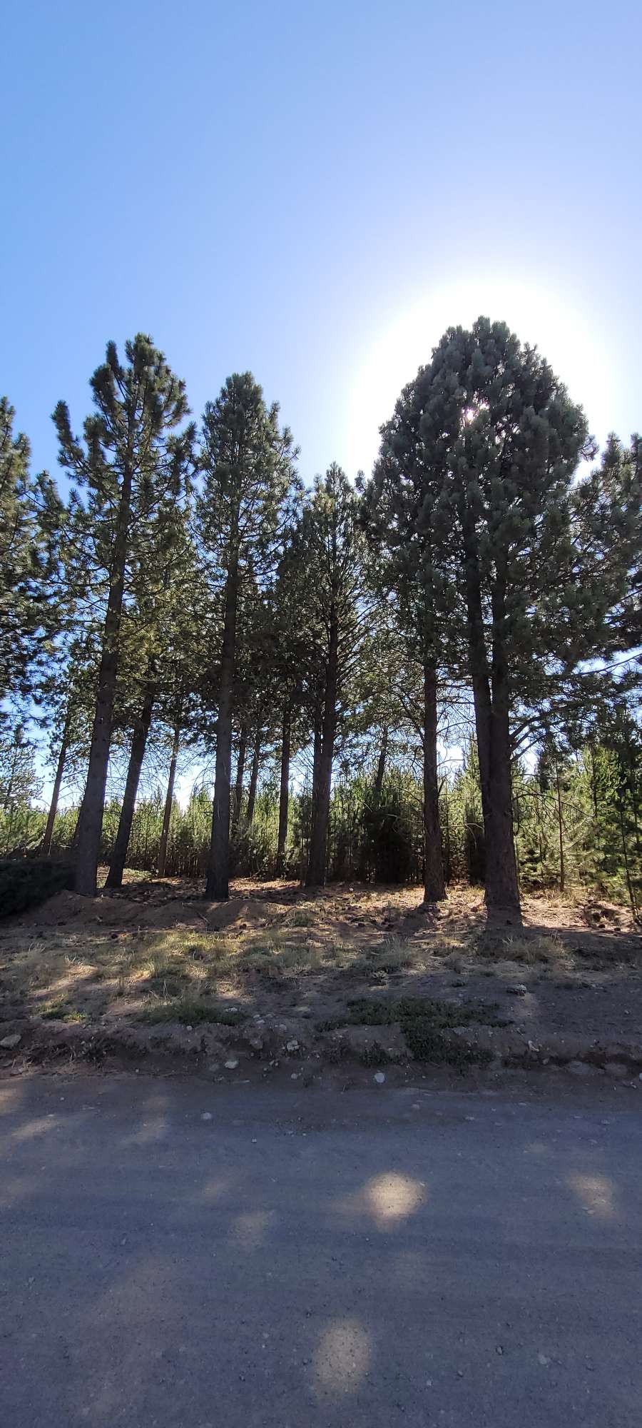 Terreno único en Bariloche en Venta · 1.000 m² de lote · barrio privado · dueño directo - Imagen 1