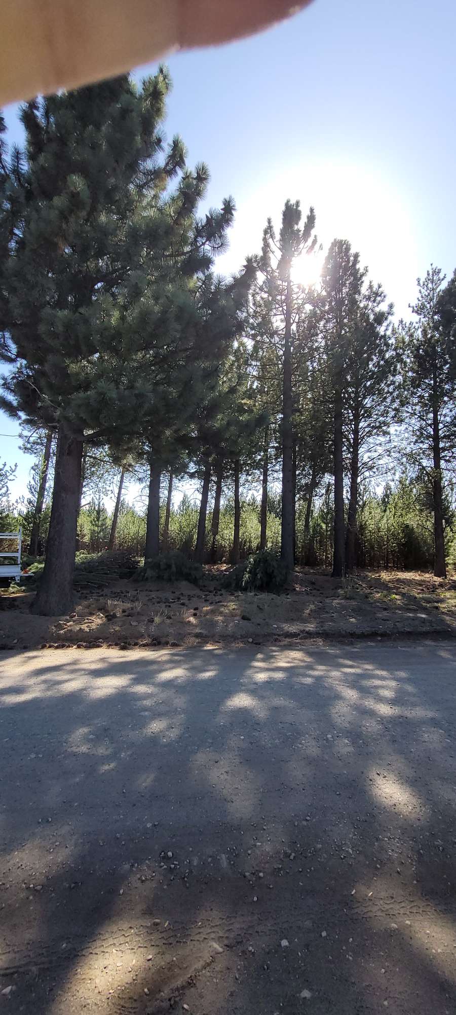 Terreno único en Bariloche en Venta · 1.000 m² de lote · barrio privado · dueño directo - Imagen 5