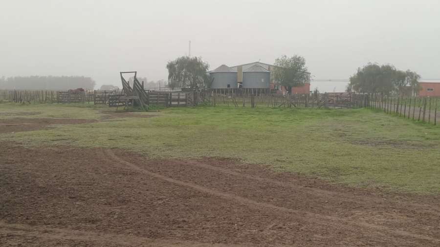 Campo Saladillo - Imagen