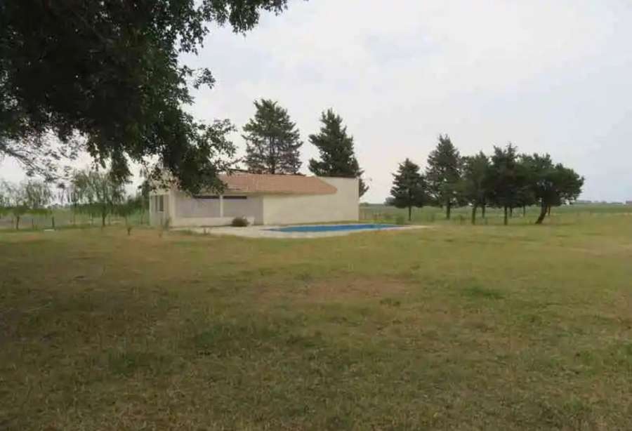 Campo en Saladillo: en Venta · 488 ha - Imagen 1