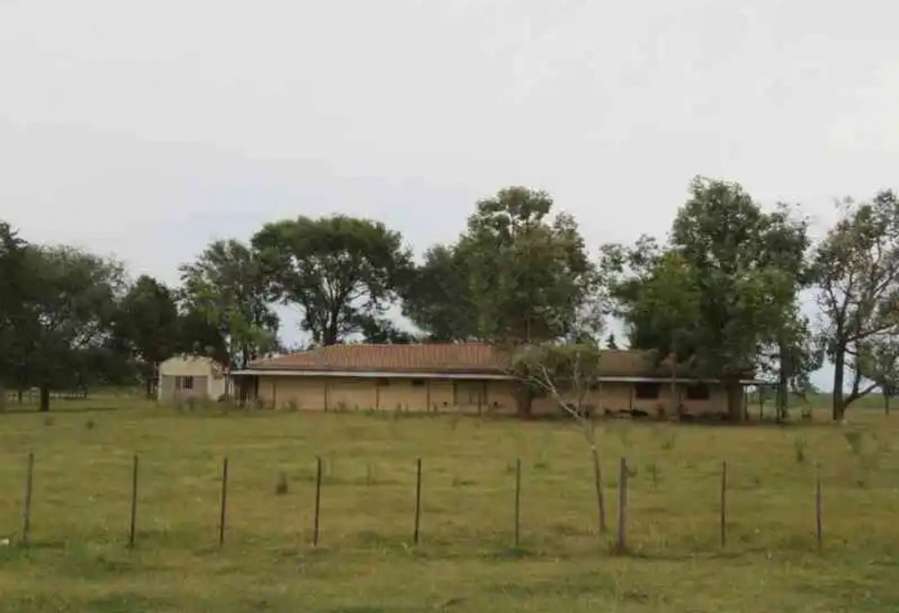 Campo Saladillo - Imagen