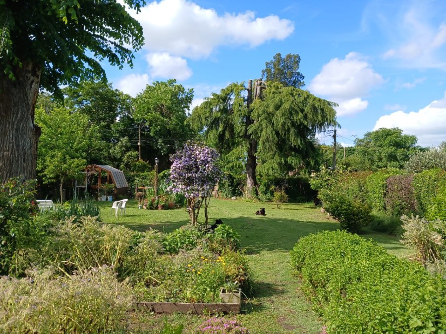 Cabaña en Venta Laguna De Lobos , Lobos - Imagen 4