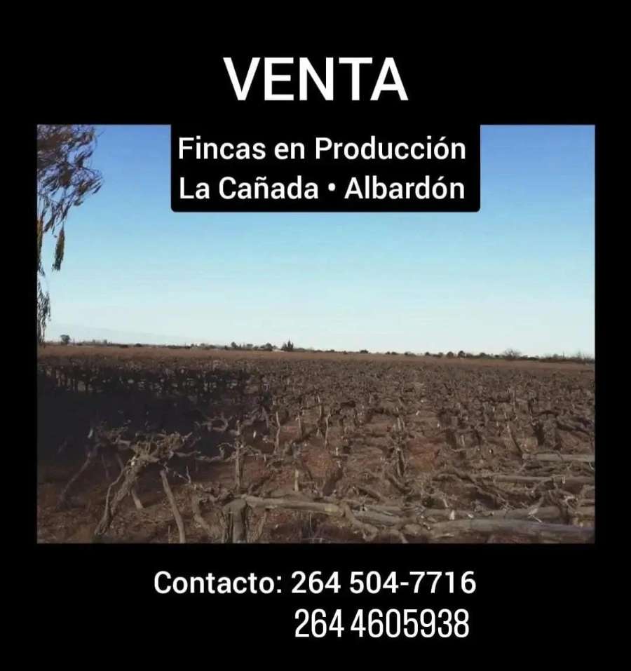 Campo en Venta en Albardon · dueño directo - Imagen 1