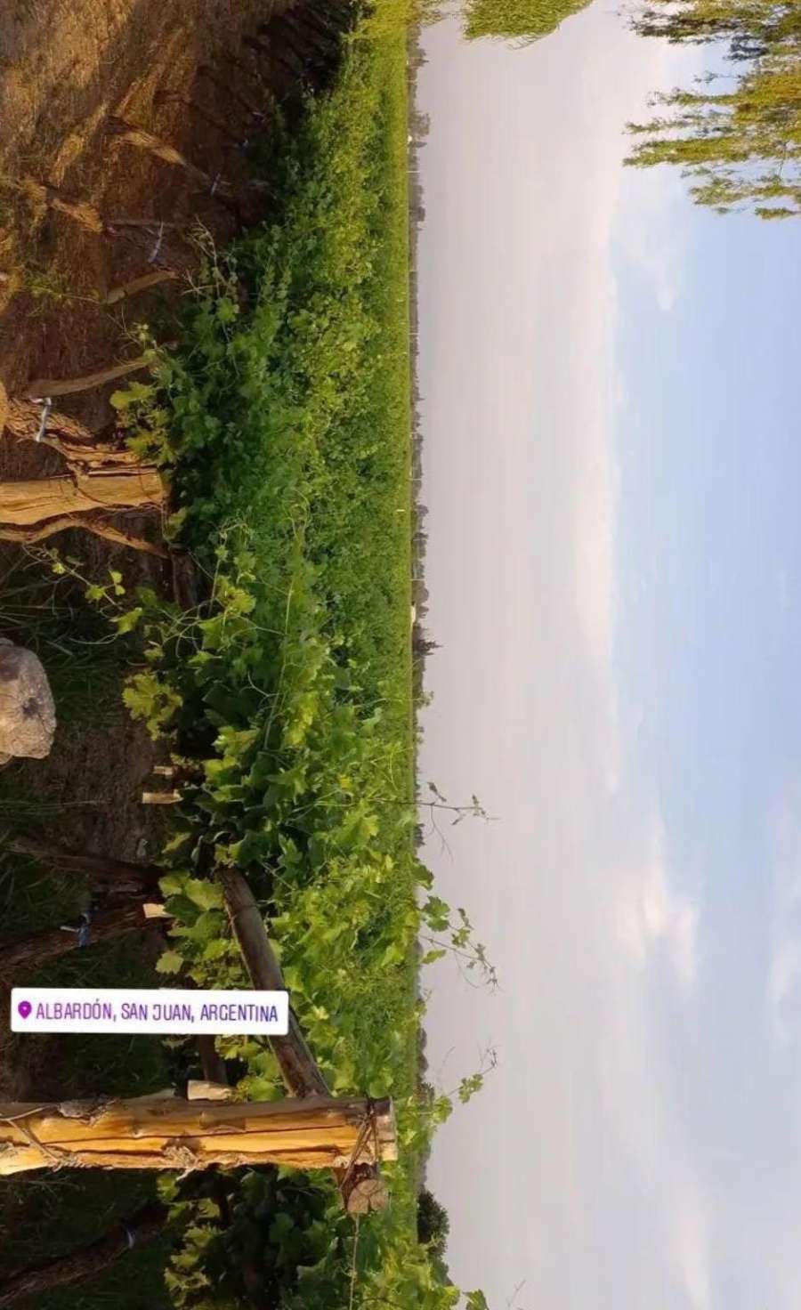 Campo en Venta en Albardon · dueño directo - Imagen 2