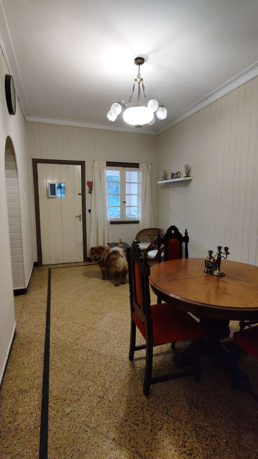 Casa en Mar del Plata en Venta · dueño directo · 3 dorm · cochera · 110 m² de lote - Imagen 4