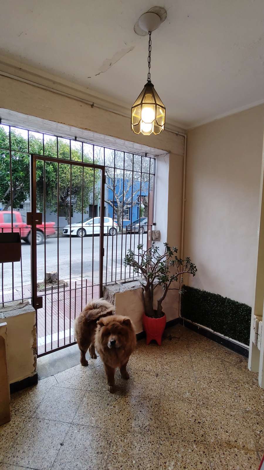 Casa Mar del Plata - Imagen