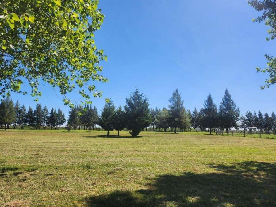 Terreno  San Vicente - Imagen