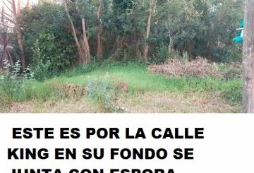 Excelente Terreno en Pinamar en Venta · frente 35 m · largo 30 m · 1.100 m² de lote · dueño directo - Imagen 5