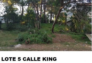 Excelente Terreno en Pinamar en Venta · frente 35 m · largo 30 m · 1.100 m² de lote · dueño directo - Imagen 2