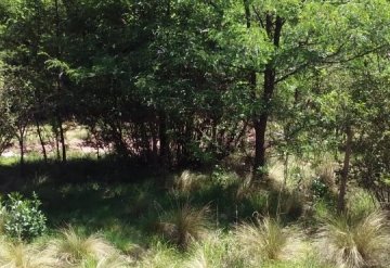 Terreno en Venta Estancia Grande,san Luis, San Luis - Imagen 2