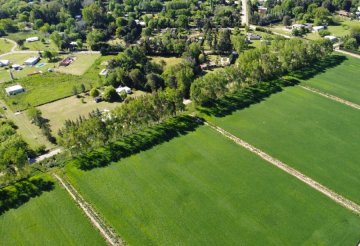 Terreno en Venta Pablo Cereti Y Aroma, Pontevedra - Imagen 10