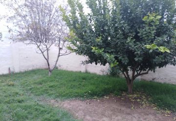 Casa en Venta Entre Rios N° 423, Santa Rosa - Imagen 9