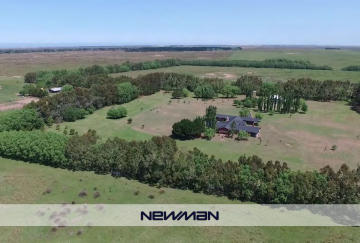 Estancia en Venta Ruta 11 Km360, San Clemente del Tuyu - Imagen 7