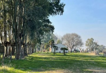 Estancia en Venta , Bragado - Imagen 9