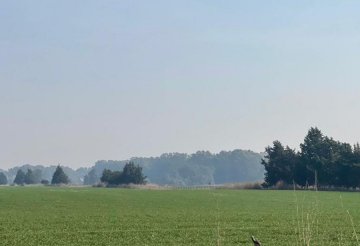 Estancia en Venta , Bragado - Imagen 8