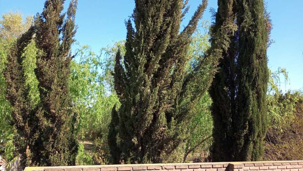 Casa Quinta  Río Cuarto - Imagen