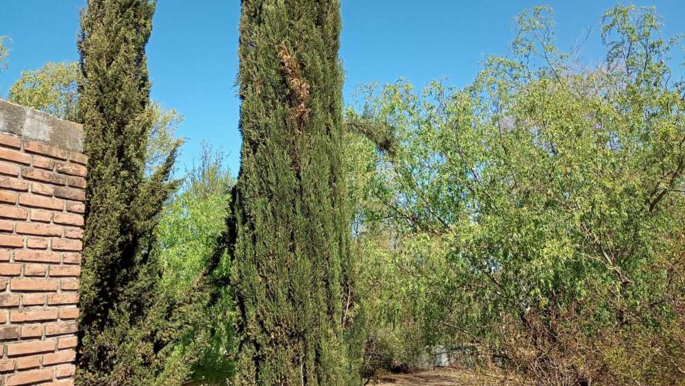 Casa Quinta  Río Cuarto - Imagen