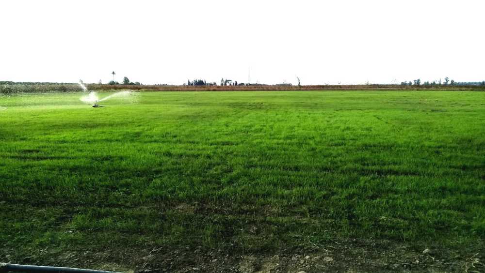 Excelente Terreno en Río Cuarto en Venta - Imagen 1