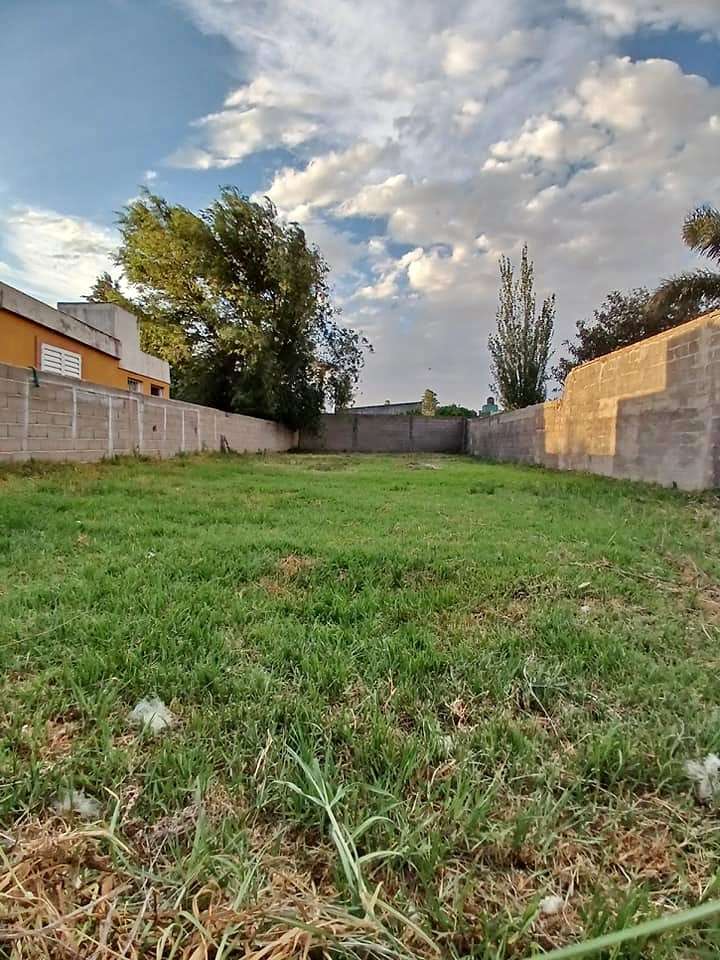 Terreno  Las Higueras - Imagen