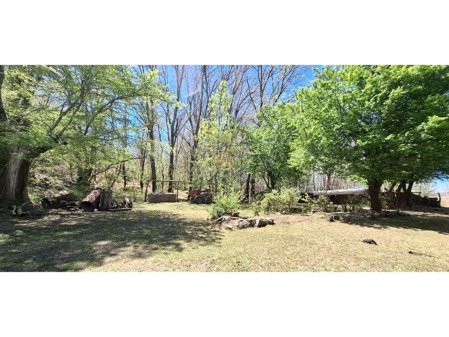 Campo en Venta en San Luis · 281 ha - Imagen 3