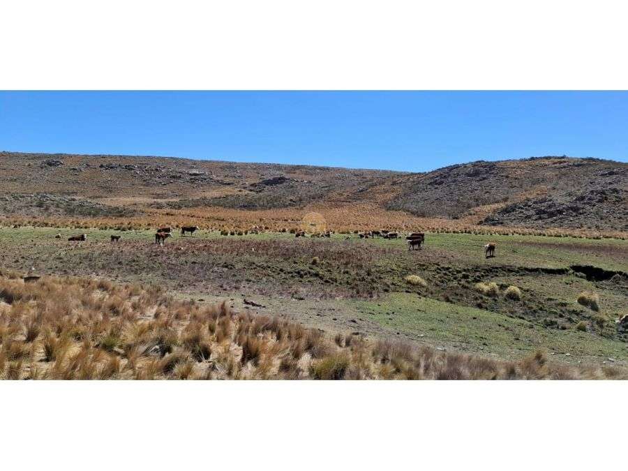 Campo en Venta en San Luis · 281 ha - Imagen 4