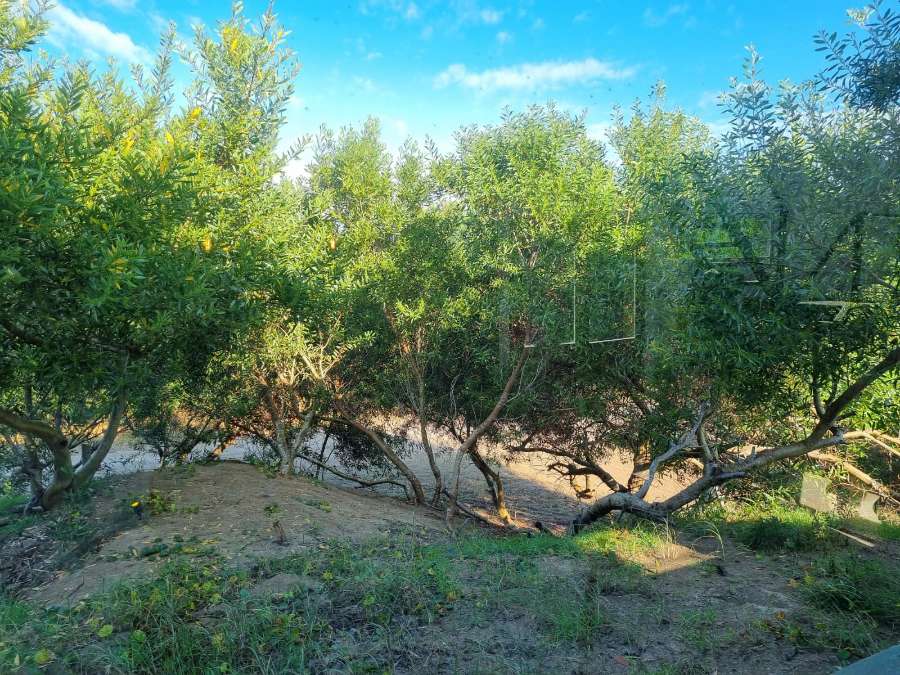 Casa en Venta Ruta Acceso Punta Medanos, San Bernardo - Imagen 11