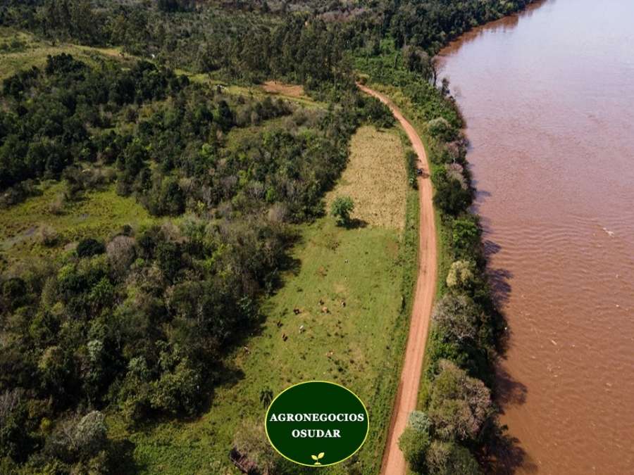 Campo en Apostoles: en Venta · 51 ha - Imagen 1