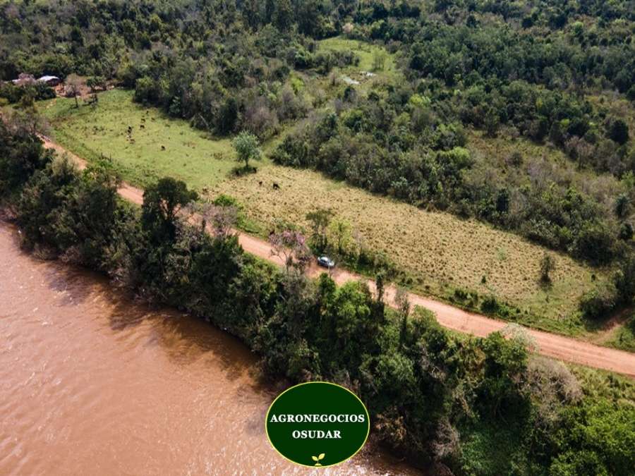 Campo  Apostoles - Imagen