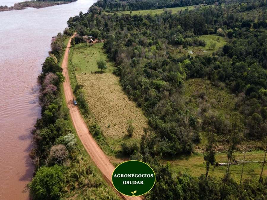 Campo  Apostoles - Imagen