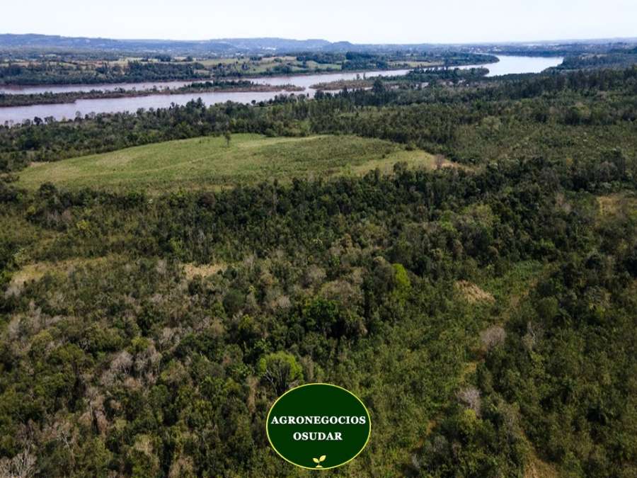 Campo  Apostoles - Imagen