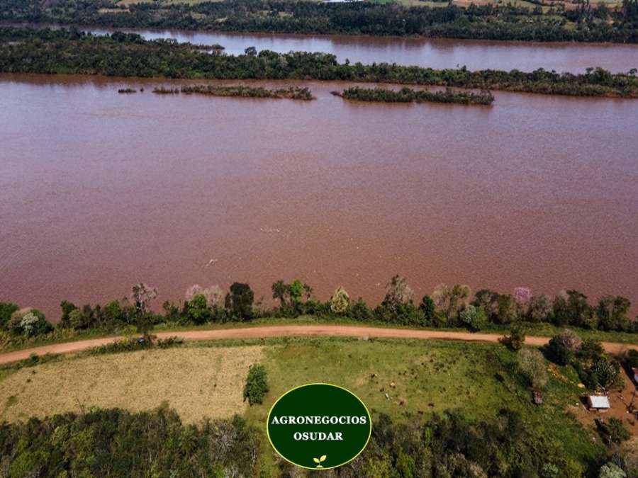 Campo  Apostoles - Imagen