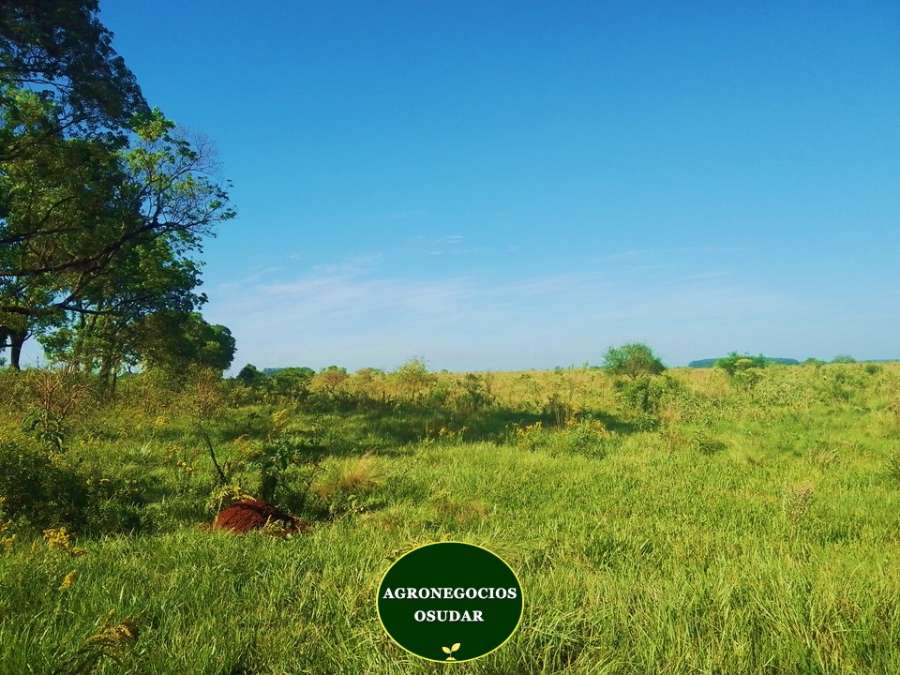 Campo en Venta Corrientes, Corrientes - Imagen 3