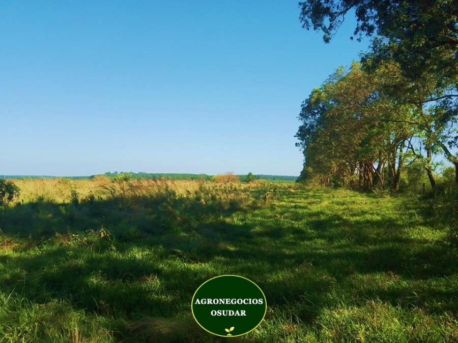 Campo en Venta Corrientes, Corrientes - Imagen 5