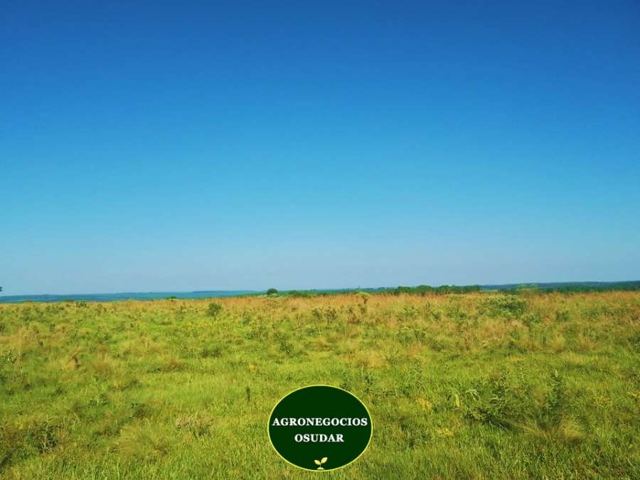 Campo en Venta Corrientes, Corrientes - Imagen 6