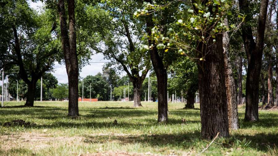 Terreno  Tristan Suarez - Imagen