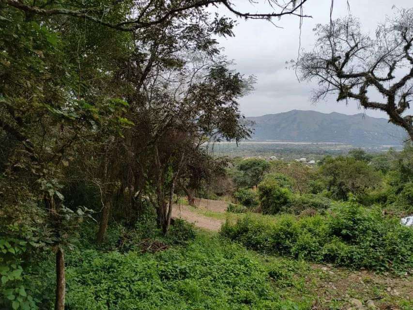 Tu próximo Terreno en Venta en Salta · frente 50 m · largo 29,1 m · 1.456 m² de lote · barrio privado - Imagen 2