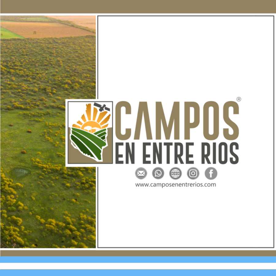 En Villa Hernandarias, Campo en Venta · 221 ha - Imagen 2