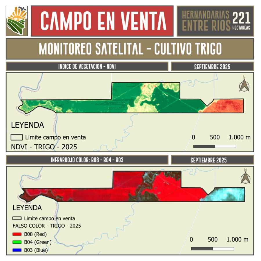 En Villa Hernandarias, Campo en Venta · 221 ha - Imagen 3