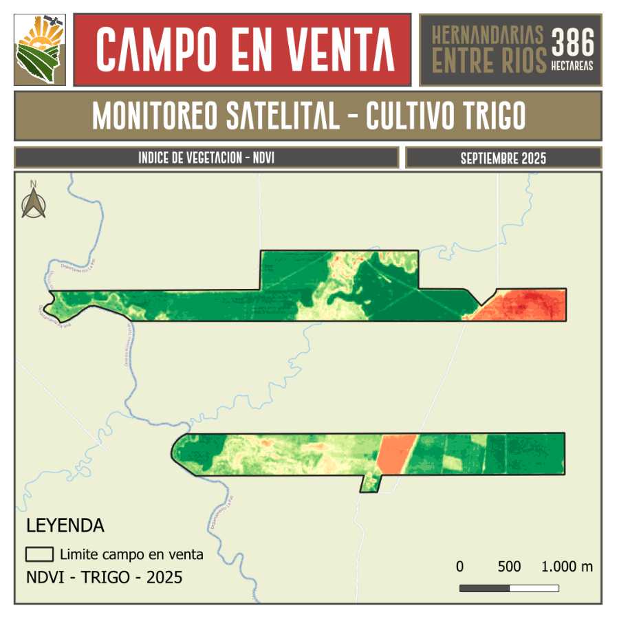 Campo en Venta Hernandarias, Villa Hernandarias - Imagen 9
