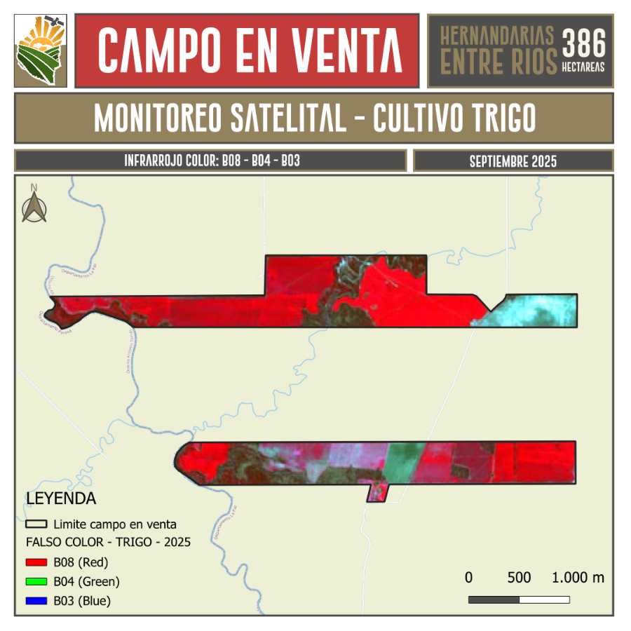 Campo en Venta Hernandarias, Villa Hernandarias - Imagen 6