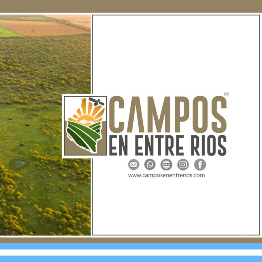 Tu próximo Campo en Venta en Villa Hernandarias · 386 ha - Imagen 2