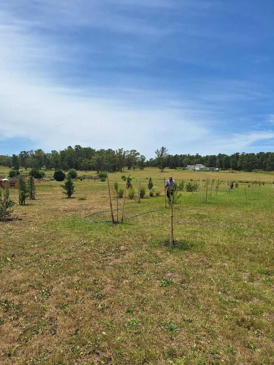 Terreno en Baradero para en Venta · frente 100 m · largo 160 m · 16.000 m² de lote · barrio con seguridad - Imagen 4