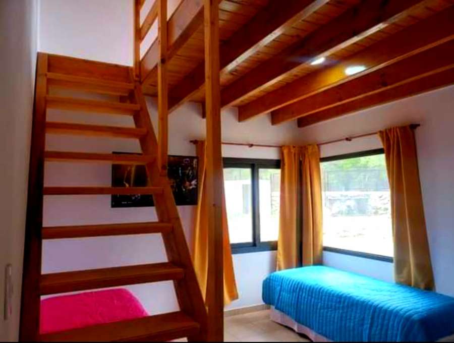 Casa Cortaderas - Imagen