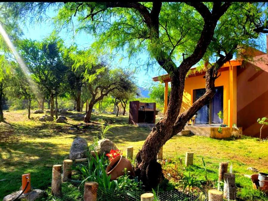 Casa Cortaderas - Imagen