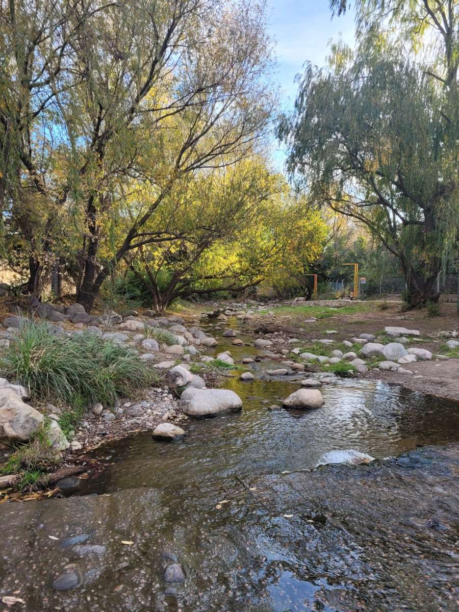 Terreno en Venta en San Luis · frente 20 m · largo 50 m · 1.000 m² de lote · dueño directo - Imagen 3