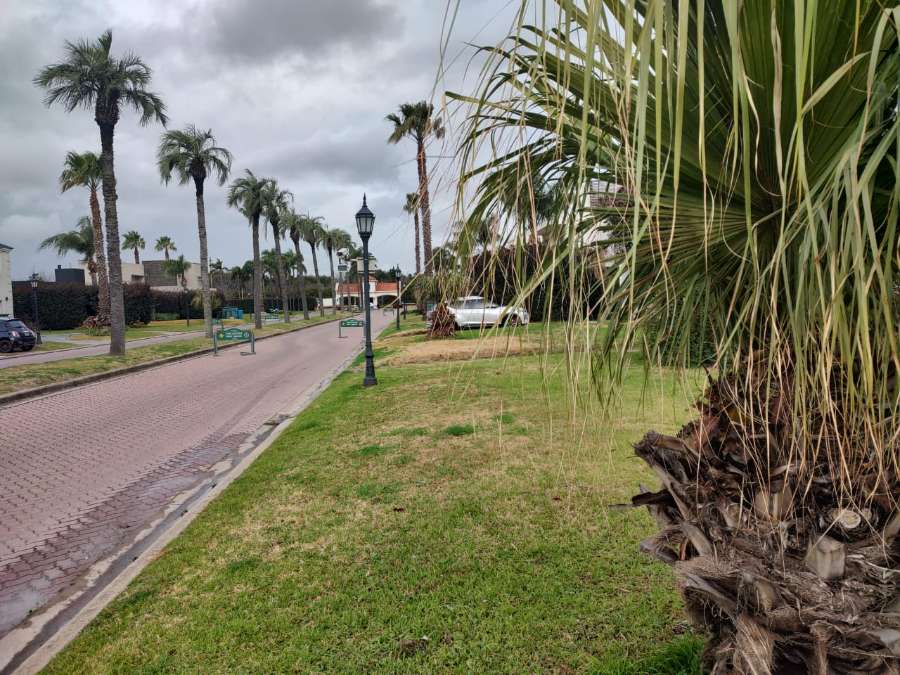 Terreno  Funes - Imagen