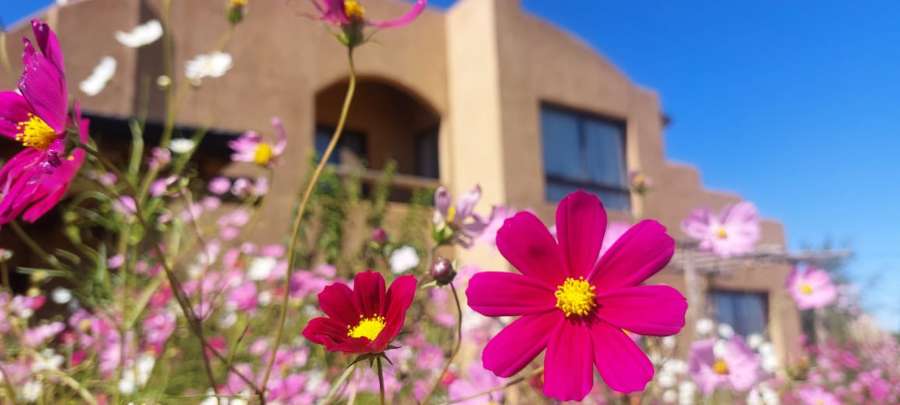 Campo  Los Reartes - Imagen